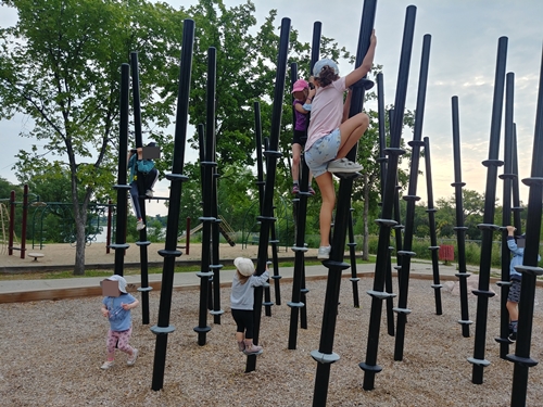 Children climbing poles